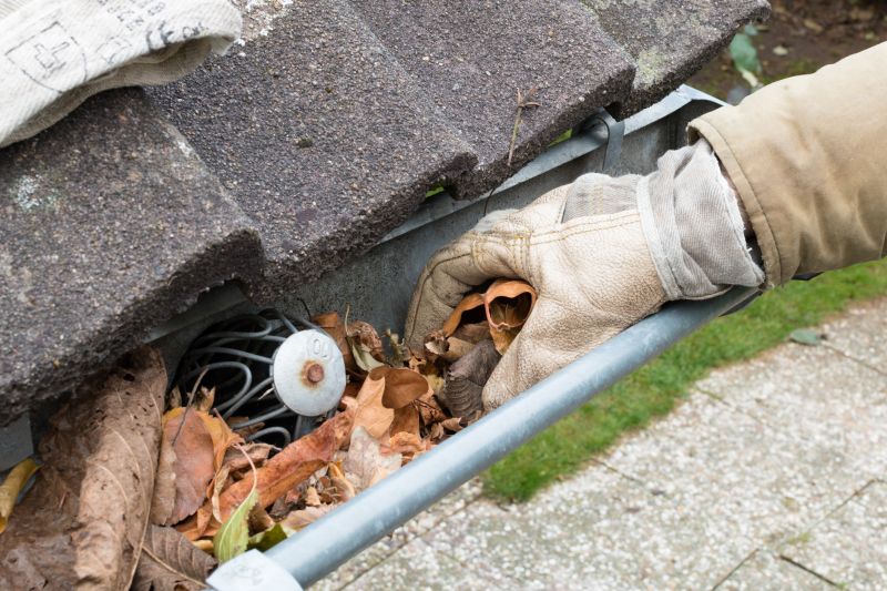 Clogged Gutter Clearing in Frederick, MD