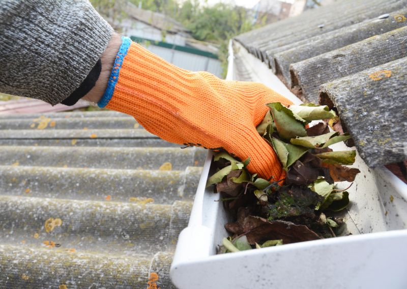 Gutter Pine Needle Removal in Long Island, NY